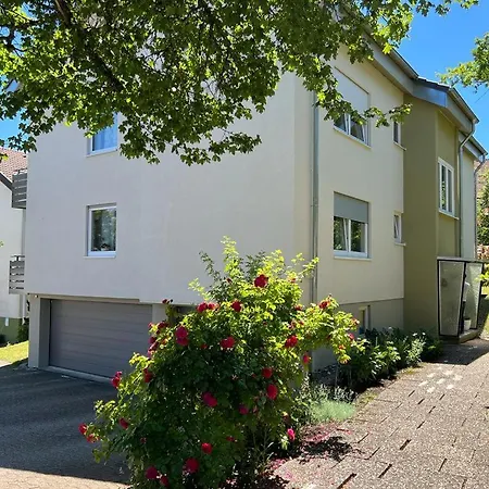 Schwarzwald Steffanie * Freudenstadt